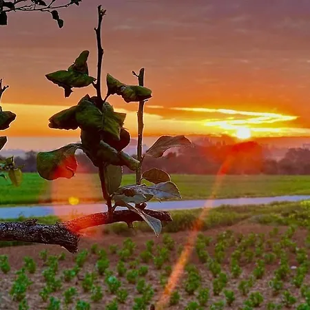 Infinity - Cycladic Experience * Spongano