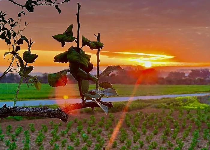 Infinity - Cycladic Experience * Spongano